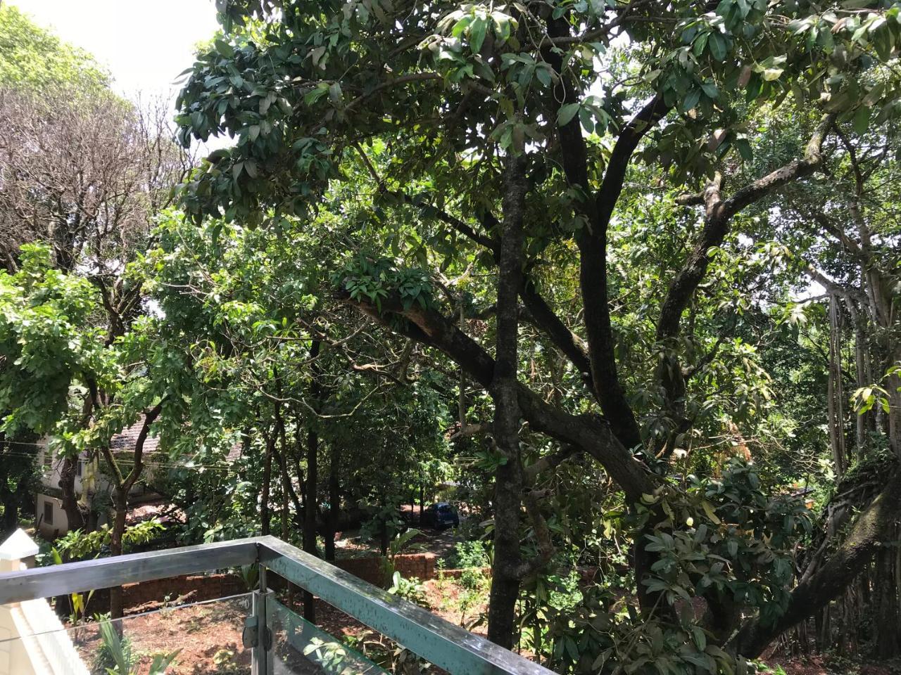 Rankk Stays Arambol Exterior foto